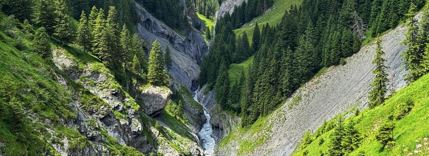 Griesalp Vallée alpine classée au patrimoine mondial de l'UNESCO Circuit en vélo électrique au départ d'Interlaken