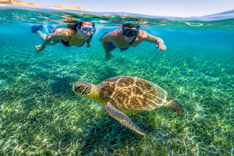 Marsa Alam: Diving & Snorkel Trips on the Boat with Lunch