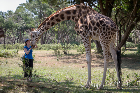 Entebbe : Visita ao Jardim Zoológico e ao Jardim Botânico de Entebbe