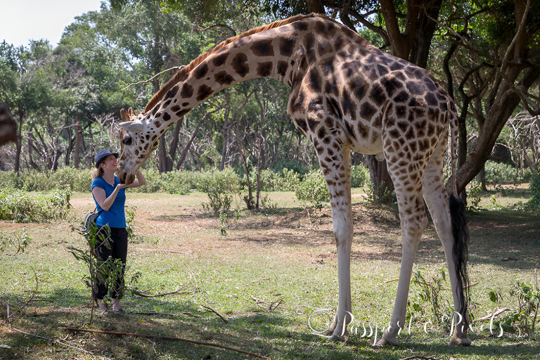 Entebbe : Wycieczka do ogrodu zoologicznego i botanicznego w Entebbe