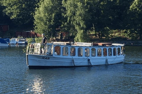 Estocolmo: tour guiado en barco por el archipiélago y los canales
