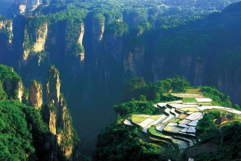 Zhangjiajie Private Day Tour: Rice Terraces,Elevator &Avatar Opt C: Private Transfer and Tour Guide – Downtown
