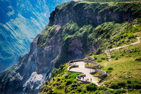 2-tägiges Colca Canyon Abenteuer ab Arequipa + Hotel