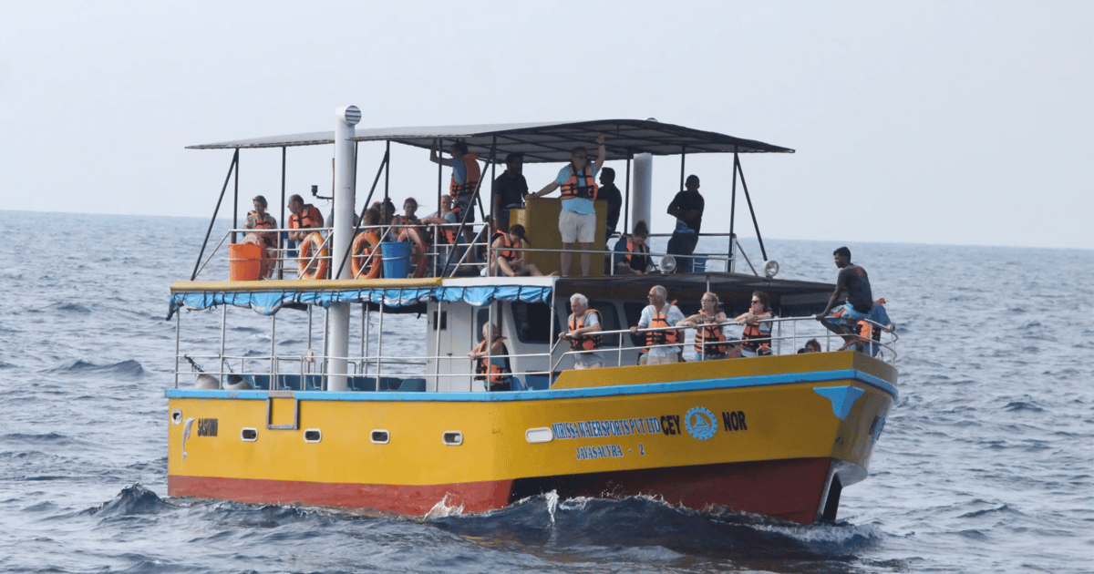 Båttur Med All Inclusive Till Mirissa För Val Och Delfinskådning