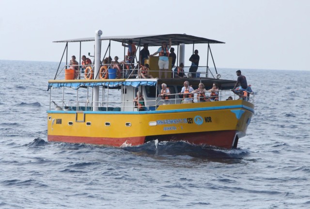 Visit All Inclusive Mirissa Whale and Dolphin Watching Boat Ride in Mirissa