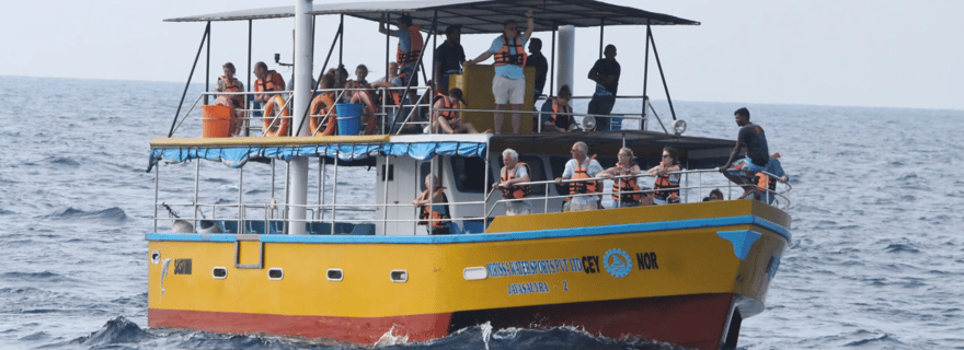Tour en bateau tout compris pour l'observation des baleines et des dauphins à Mirissa