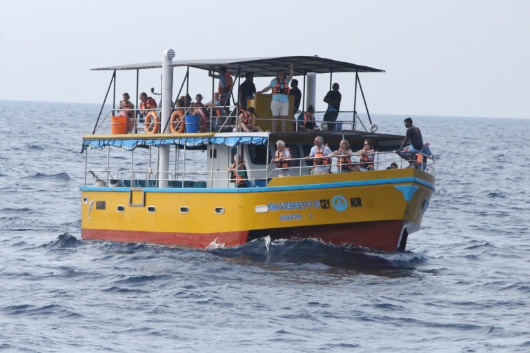 Rejs łodzią z obserwacją wielorybów i delfinów All Inclusive MirissaMirissa Rejs łodzią w poszukiwaniu wielorybów i delfinów