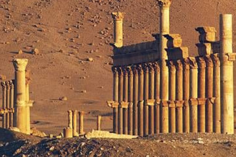 Discover Jordan from north to south on a 5-day private tour