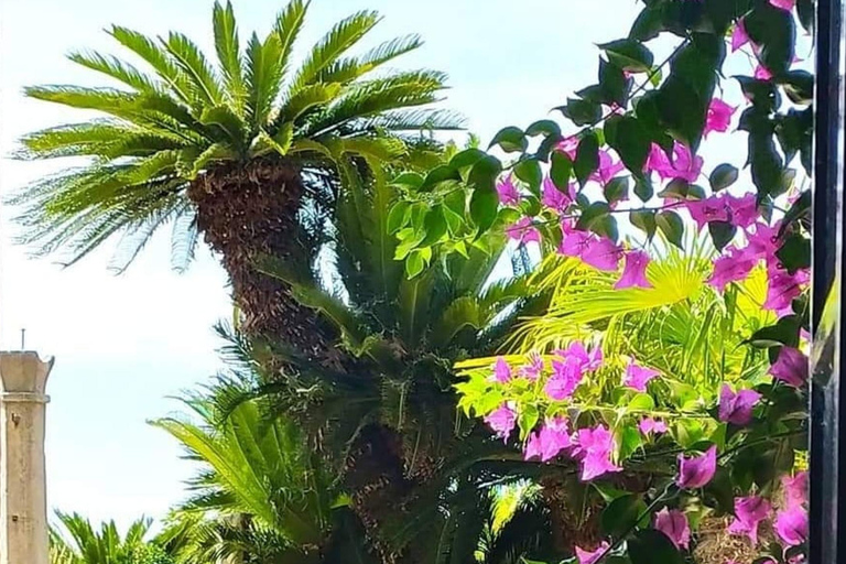 إطلالات دوبروفنيك وتجربة حديقة ترستينو النباتية