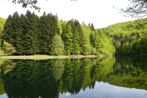 غابة إيراتي ورحلة أوتشاغافيارحلة استكشافية إلى غابة إيراتي وأوشاغافيا