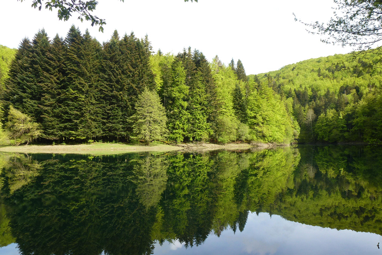 غابة إيراتي ورحلة أوتشاغافيارحلة استكشافية إلى غابة إيراتي وأوشاغافيا