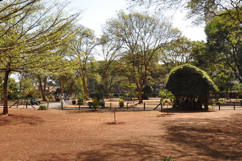 Stadsrondleiding door Nairobi met Arboretum, Jeevanjee Gardens &amp; meer