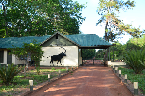 Safari noturno para Shimba Hills a partir de Mombaça.Safari noturno para as colinas de Shimba a partir de Mombaça