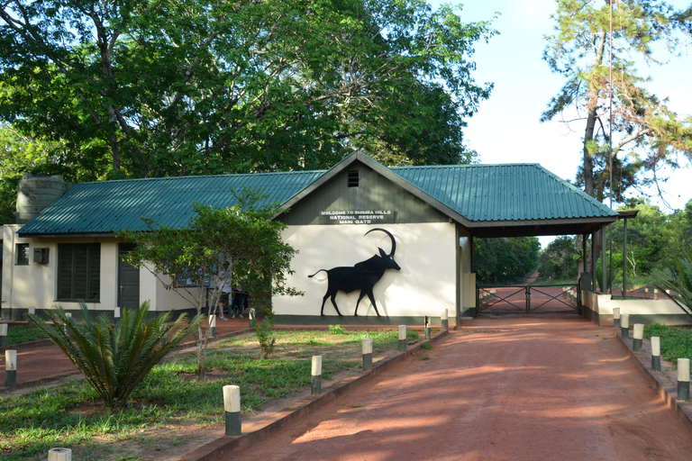 Safari noturno para Shimba Hills a partir de Mombaça.Safari noturno para as colinas de Shimba a partir de Mombaça
