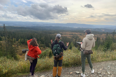 Trondheim: Gråkallen Guided Hike in Bymarka