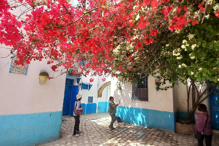 Tunis: 2-Day North Africa Highlights Tour & 1-Night Tabarka