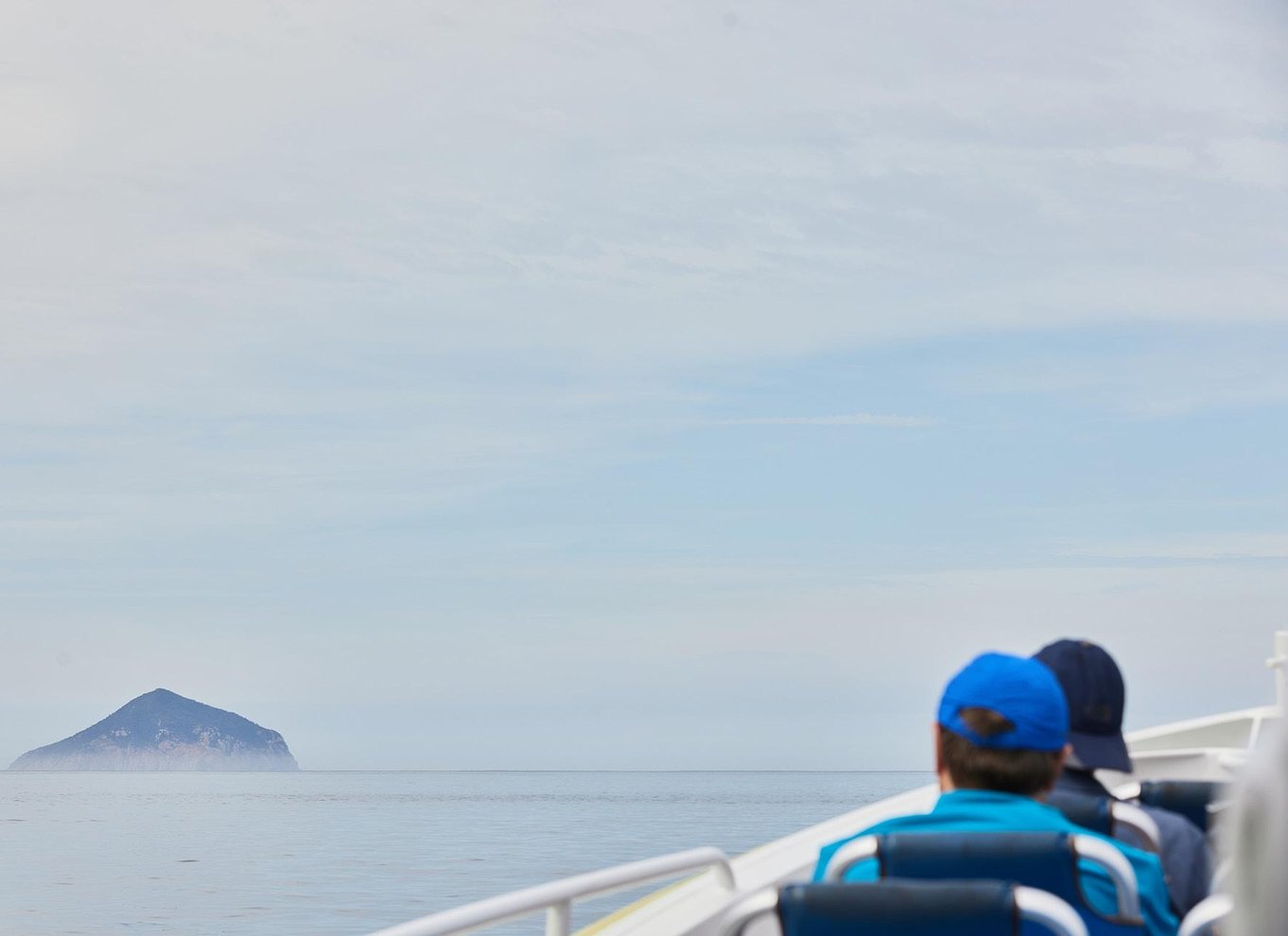 Wilsons Promontory: Eftermiddagskrydstogt i vildmarken