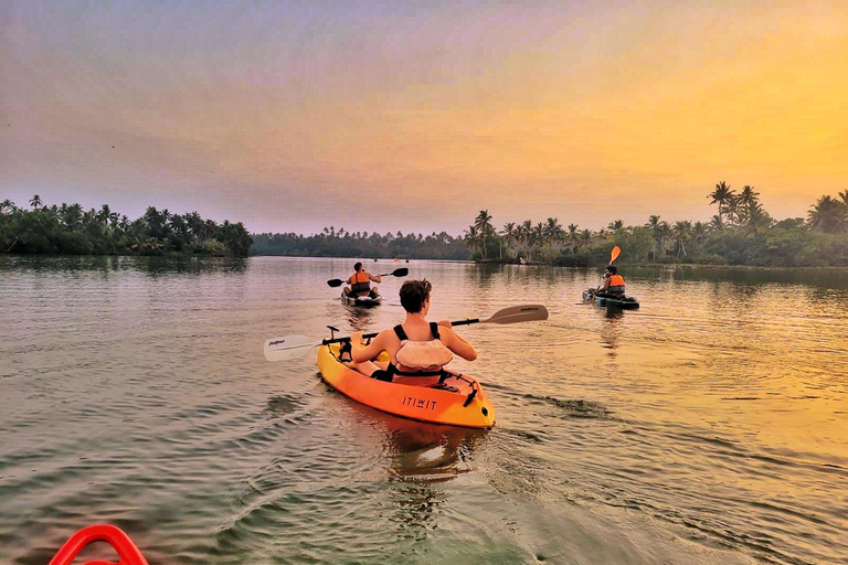 Alleppey: Kajakpaddling och båttur med Shikkara med lokal måltid