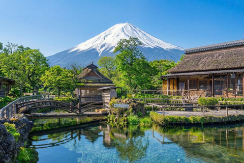Mt Fuji 8 Spots Customizable Sightseeing Day Tour with Guide Mt Fuji 8 Spots Customizable Sightseeing Day Tour with Guide