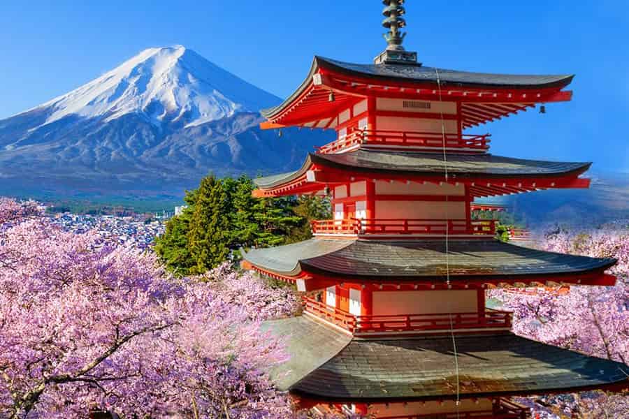 Tokio: Fuji, Oshino Hakkai, Kawaguchi-See und Oishi Park. Foto: GetYourGuide