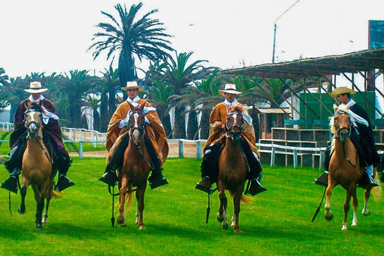 Au départ de Trujillo : journée complète avec chevaux de paso et spectacle de marins