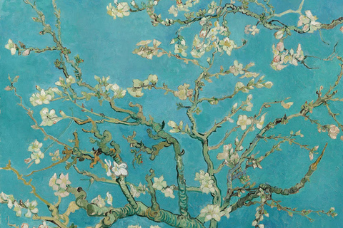 Amsterdam: Van Gogh Museum Small Group Tour incl. Ticket