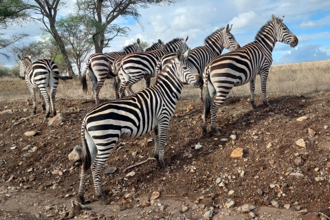 Fahrt zum Nairobi National Park