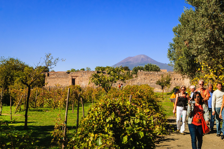 Naples/Salerno Port: Pompeii & Vesuvius - OPTIONAL LUNCH Naples Port: Semi Private Group - ONLY LUNCH
