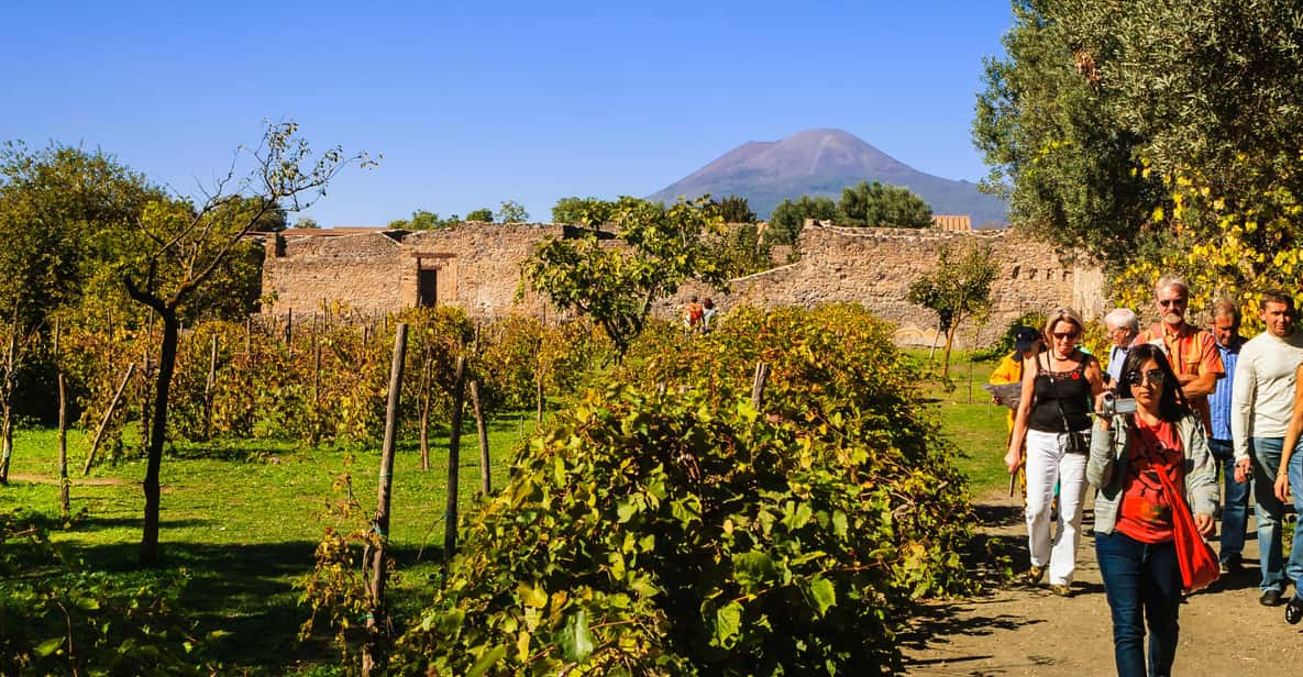 Private Pompeii & Vesuvius Wine Tasting Tour | GetYourGuide