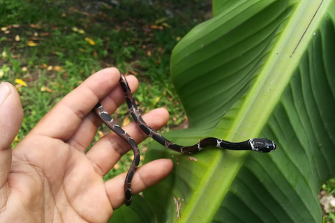 Cusco: 2-Day Coffee & Cacao Farm Stay Experience