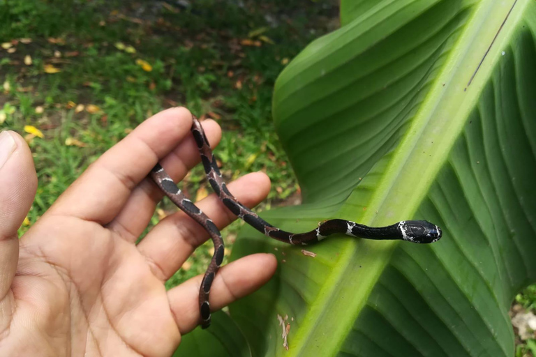 Cusco: 2-Day Coffee & Cacao Farm Stay Experience