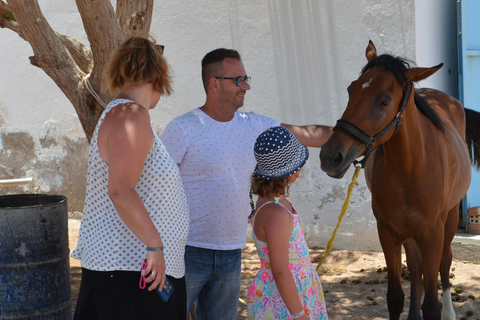 Hurghada: przejażdżka na wielbłądzie w obozie BADU, kolacja i obserwacja gwiazd