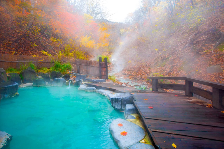 Fukuoka : Excursion d&#039;une journée au volcan Aso, aux onsen et au château de Kumamoto