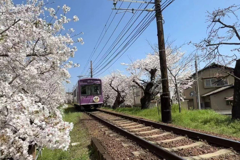 Endagstur till Kyoto, Nara, Fushimi Inari-helgedomen och Arashiyama