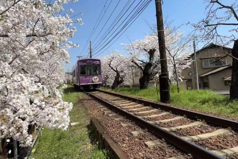 Endagstur till Kyoto, Nara, Fushimi Inari-helgedomen och Arashiyama