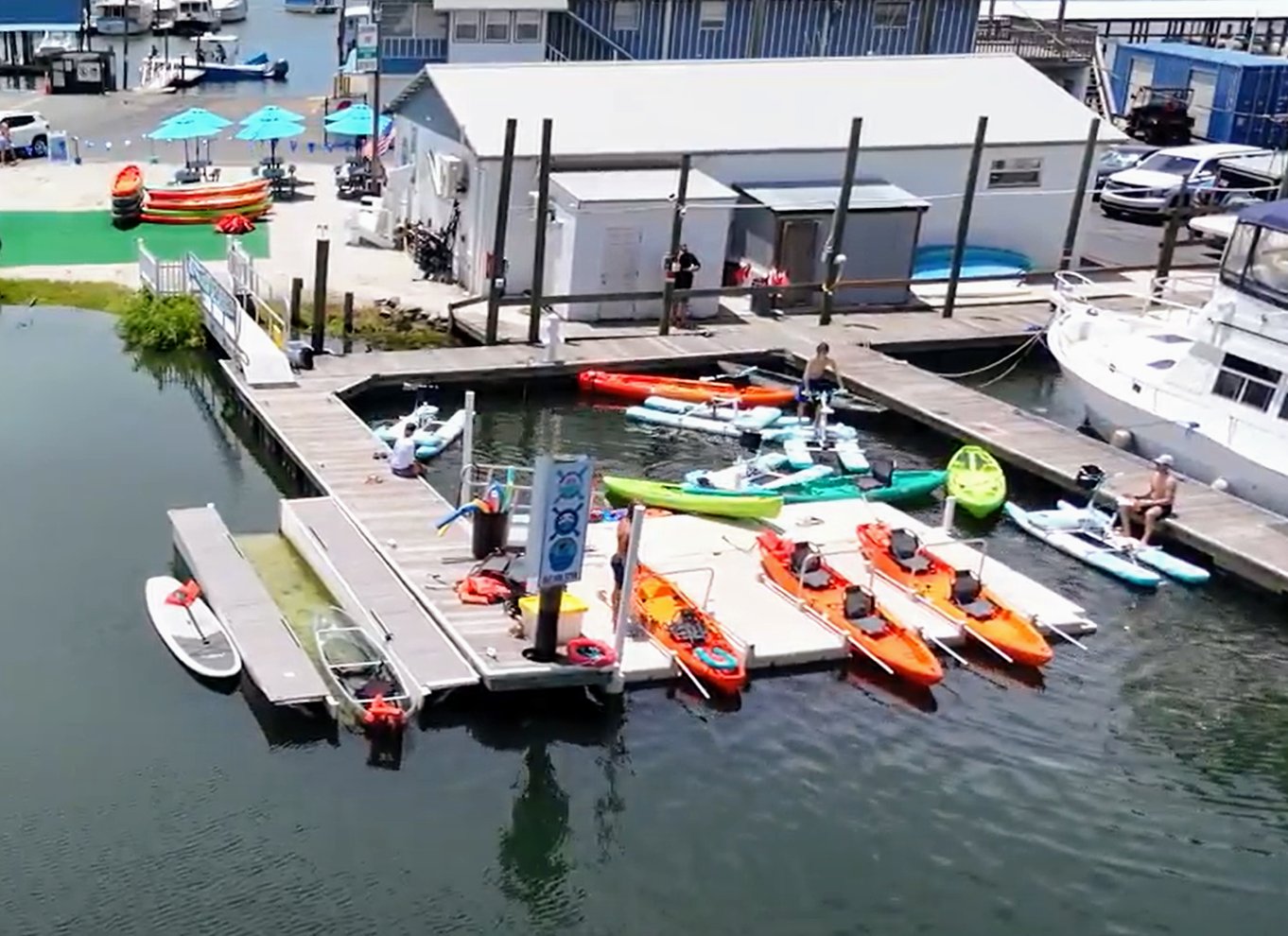 Crystal River: Three Sisters Springs Eco Tour med gennemsigtig kajak