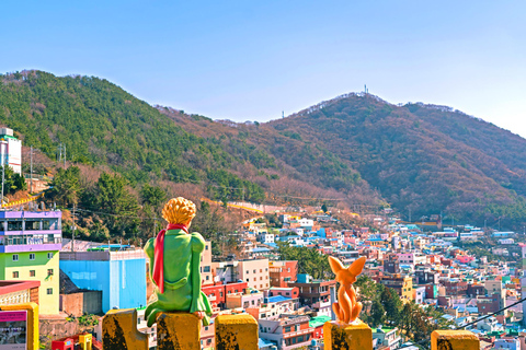 Busan Day Tour from Daegu:6 Highlights with Gamcheon Village Daegu ➔ Daegu Drop-off