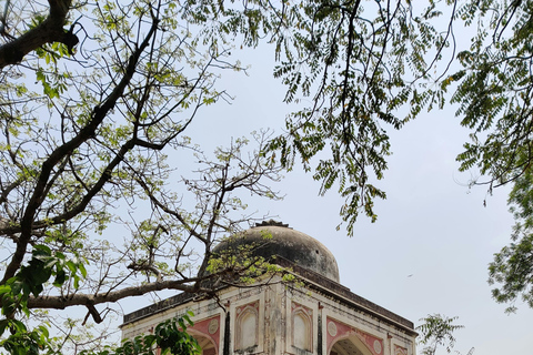 Delhi: Humayun's Tomb, Isa Khan's Tomb & Sunder Nursery Tour