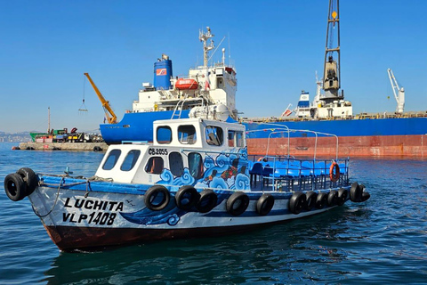 Valparaíso: Boat Sightseeing Tour with Guided City Tour