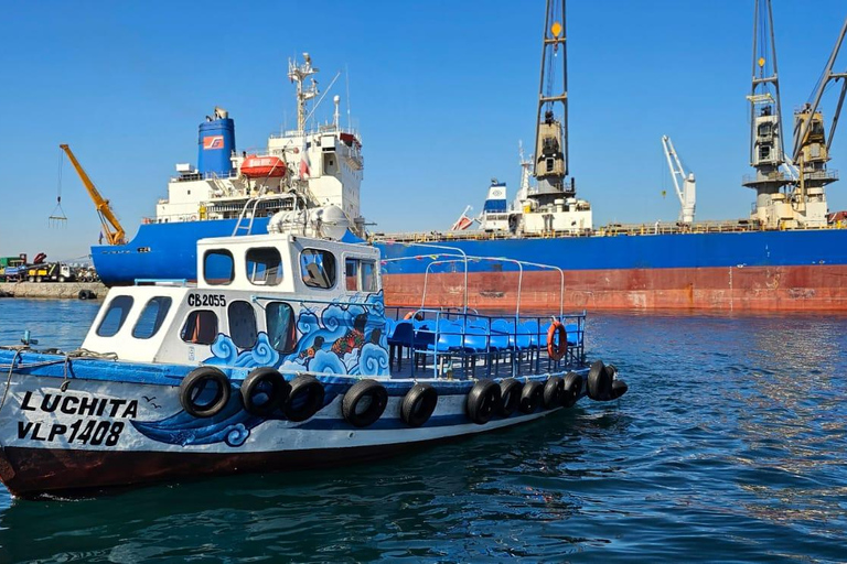 Valparaíso: Boat Sightseeing Tour with Guided City Tour