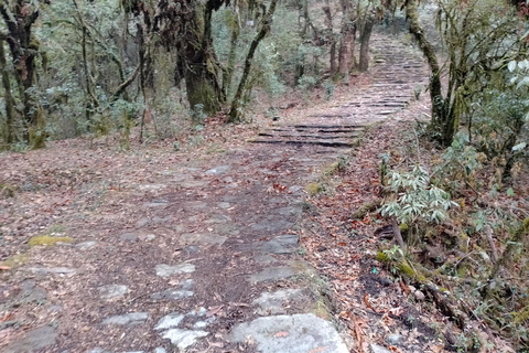 Z Pokhary: 2-dniowa wycieczka piesza na wzgórze Panchase i powrót samochodem