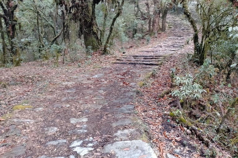 Z Pokhary: 2-dniowa wycieczka piesza na wzgórze Panchase i powrót samochodem