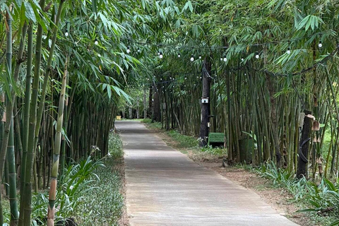 岘港：自然与骑马体验之旅岘港：自然与骑马体验