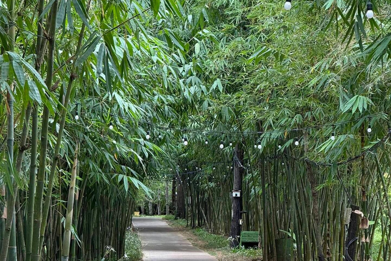 岘港：自然与骑马体验之旅岘港：自然与骑马体验