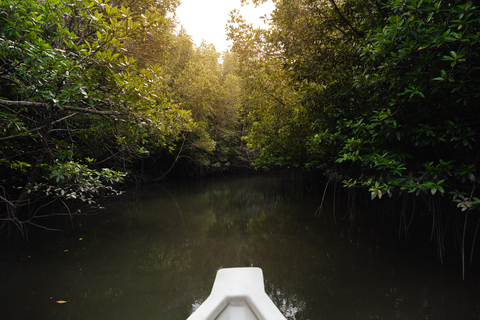 Langkawi: Kilim Geopark Mangrove Tour with Eagle Watching