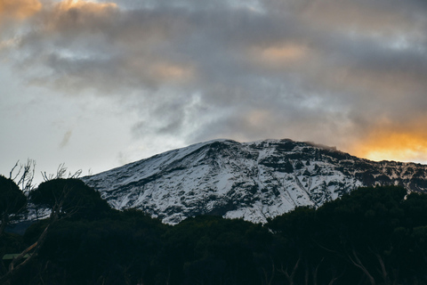 Amazing 6 Days Kilimanjaro Climbing Tour via Rongai route