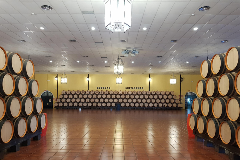 Bodegas Quitapenas: Guided Tour + Wine Tasting Quitapenas Winery: Guided Visit + Wine & Ham