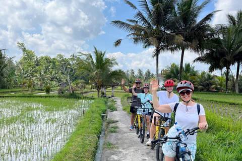 Ubud: E-Bike Tour with Rice Terrace and Village Visit Ubud: E-Bike Tour with Rice Terrace and Village Visit