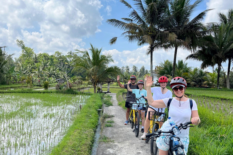 Ubud: E-Bike Tour with Rice Terrace and Village Visit Ubud: E-Bike Tour with Rice Terrace and Village Visit