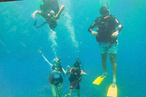 Private: Catamaran Adventure &amp; Beach BBQ at Catalina Island